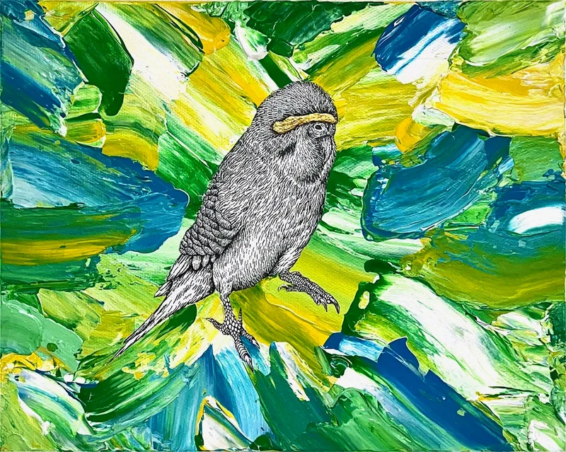 Imagine × Budgeriger