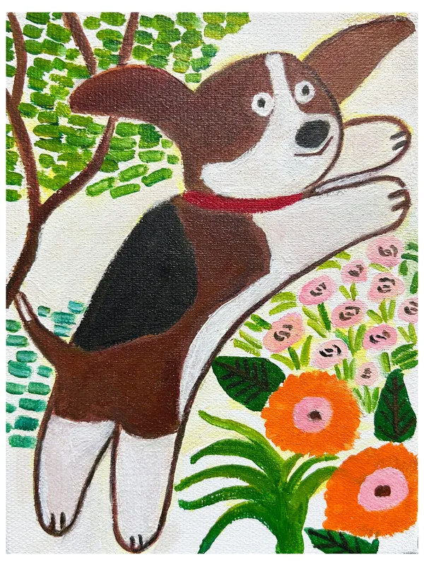 Dog