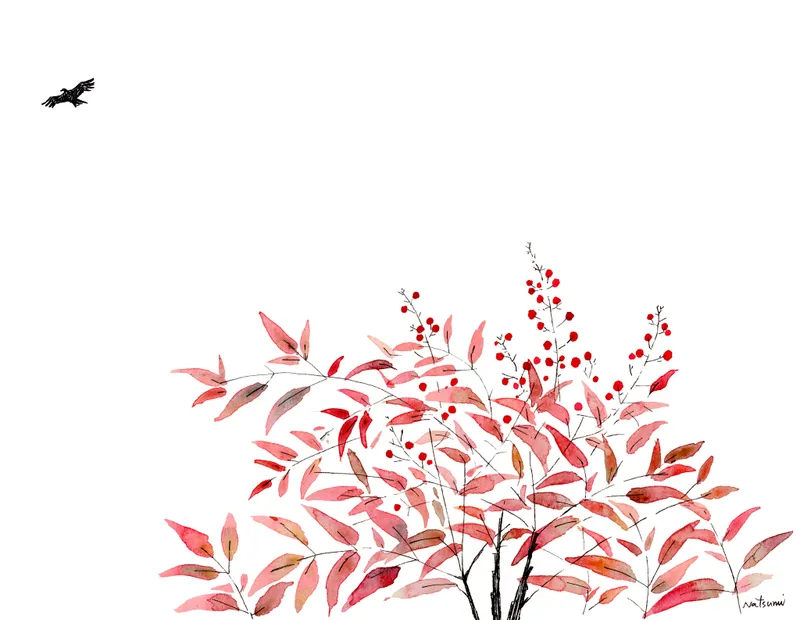 花めぐり～ナンテン　Nandina